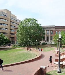 See how personalized mentorship supports academic success